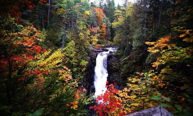 Waterfalls in Maine: A Natural Splendor Worth Exploring