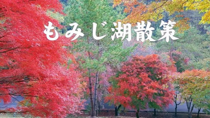 もみじ湖散策(紅葉湖自由行）　#晒出遊路線 #FallFoliage #紅葉 #記錄自然 #城市印象 #超值旅遊玩法