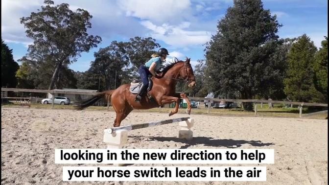 The BEST way to teach your horse how to change leads over a low jump