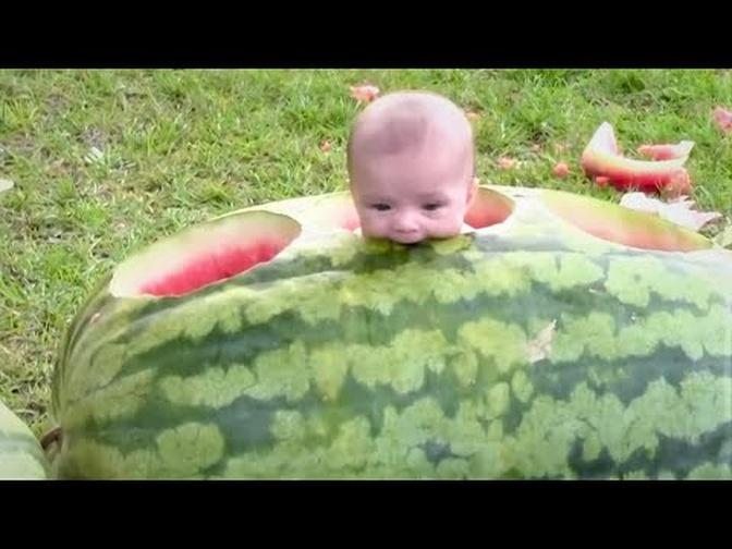 Funniets Kids and baby Videos of the week - Try Not To Laugh
