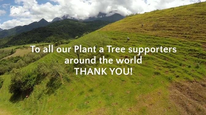 #YourConservationWins2021: The habitats restored by our Plant a Tree supporters