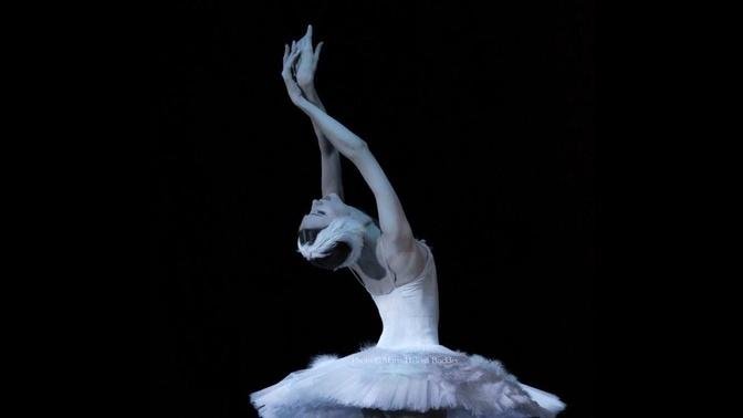 Svetlana Zakharova in The Dying Swan/The Royal Ballet
