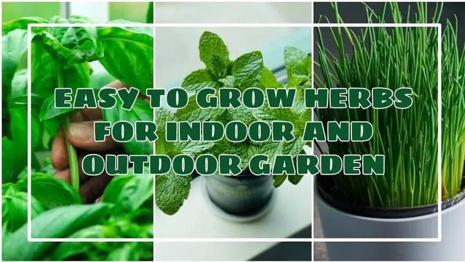 EASY TO GROW HERBS FOR INDOOR/OUTDOOR GARDEN | diy garden