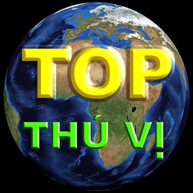 Top Thú vị