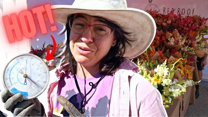 Can These Flowers (and Farmers) Handle The Heat