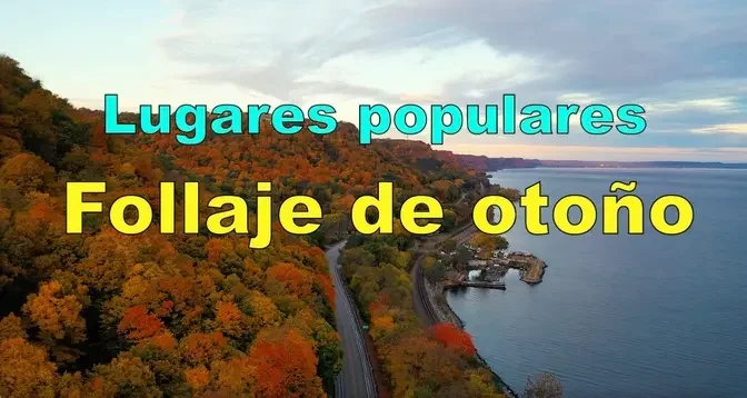 Algunos lugares populares para ver el follaje otoñal 🍁|El otoño es una excelente época para viajar