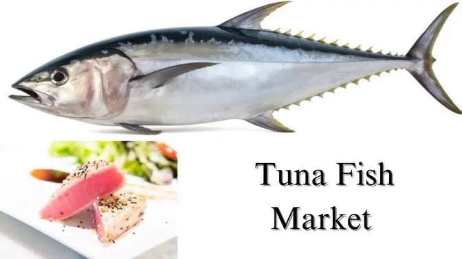 Tuna Fish Market, Size, Share, Growth and Forecast Through 2032