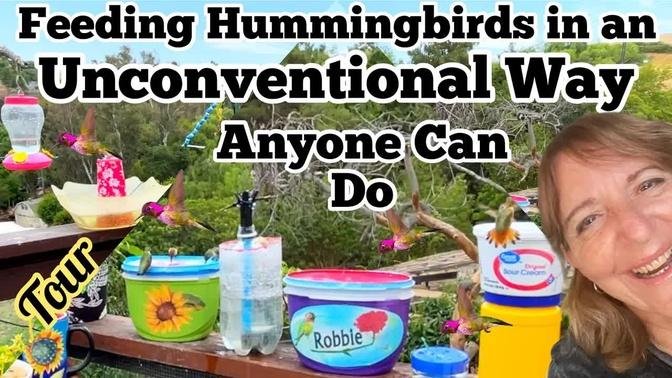 See How to Feed Hummingbirds, Easy Homemade Hummingbird Feeders & DIY Recipe Nectar Attracts 1000’s