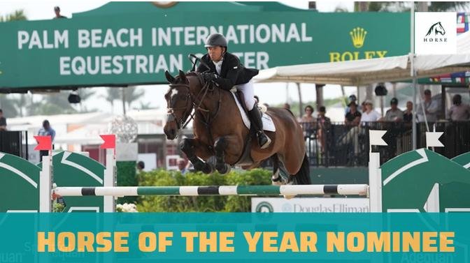 2022 USEF_SmartPak International Horse of the Year Nominee- Orafina