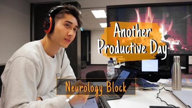 Another Productive Day In Medical School | Neurology Block