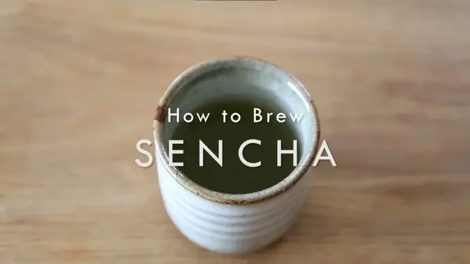 How to Brew Sencha Green Tea Correctly