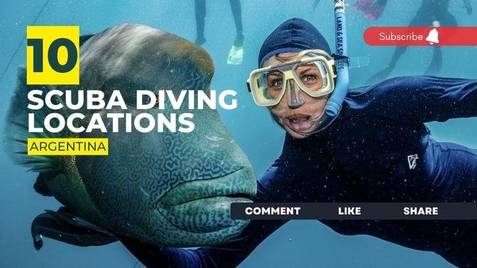Argentina Dive Sites That Will Blow Your Mind: Our Top 10 Scuba Diving Locations