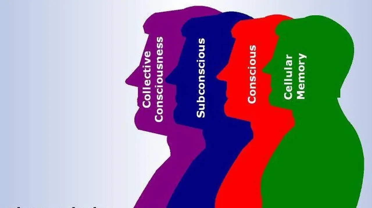 The Four Bodies of Consciousness