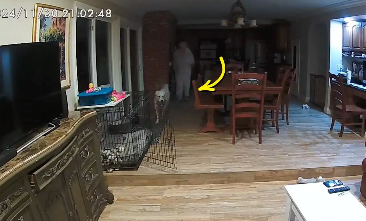 Grandma Was Heartbroken After Grandpa's Passing, Until Granddaughter Gave Her This