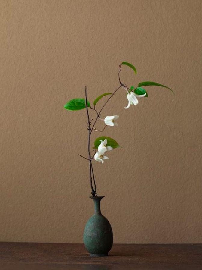 Ikebana – See the Universe in a Single Flower