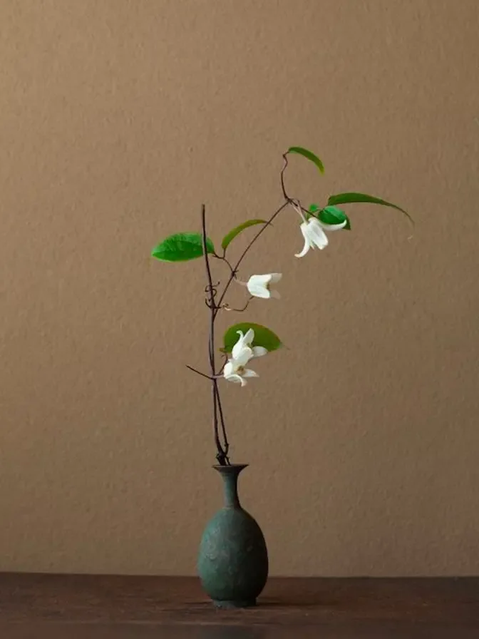 Ikebana – See the Universe in a Single Flower