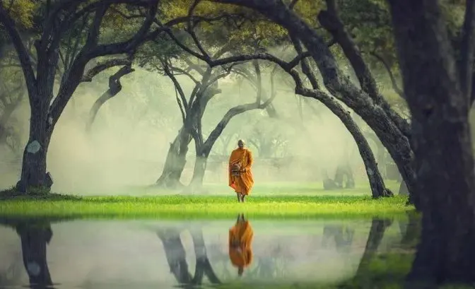 Nhân sinh như trà: Có chìm nổi mới có hương thơm