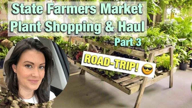 Rare Plants Everywhere! State Farmers Market Plant Shopping & Plant Haul - Raleigh NC - Part 3