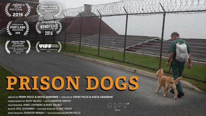 Prison Dogs | Documentary | Trailer | Epoch Cinema