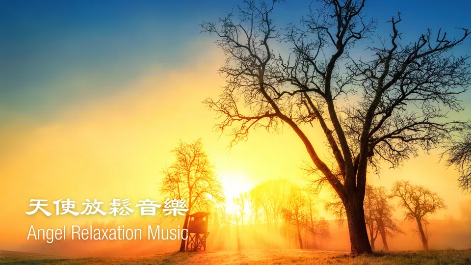 絢麗 • 陽光丨 1小時舒壓放鬆音樂 • 閲讀音樂 • 學習音樂【天使放鬆音樂 Angel Relaxation Music】