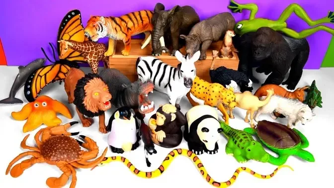 Learn Wild Animal and Zoo Animal Names With Kids Toys