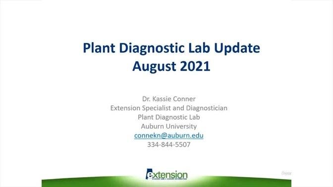 Plant Diagnostic Lab Update- August 2021