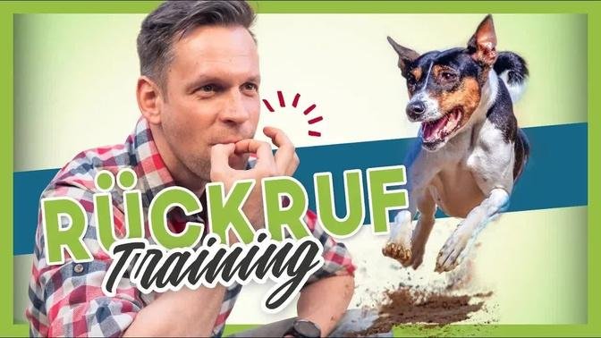 Rückruftraining | Deinem Hund oder Welpen KOMM beibringen