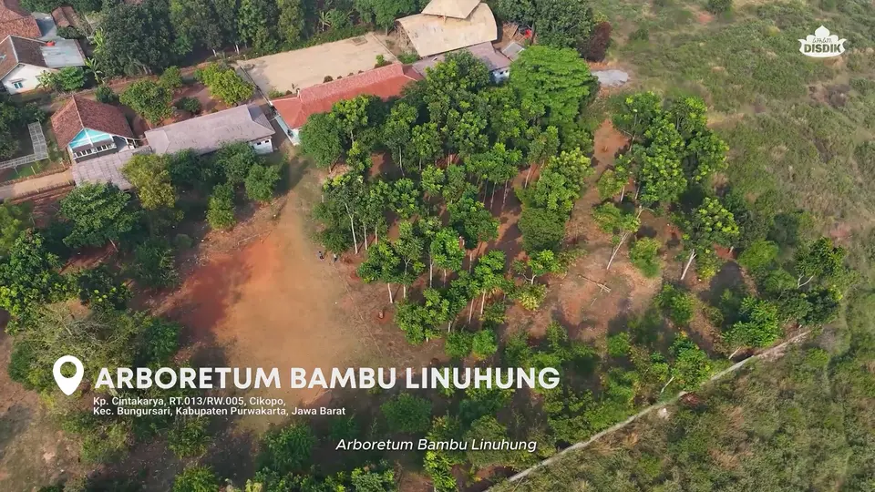 Profil Arboretum Bambu Linuhung, Lahan Konservasi Bambu di Purwakarta Indonesia