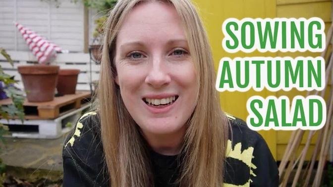 SOWING AUTUMN SALAD / EMMA'S ALLOTMENT DIARIES / NOVEMBER 2021