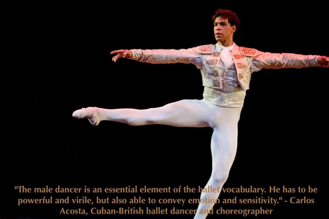 What is a male ballet dancer called Exploring the Role of Male Ballet