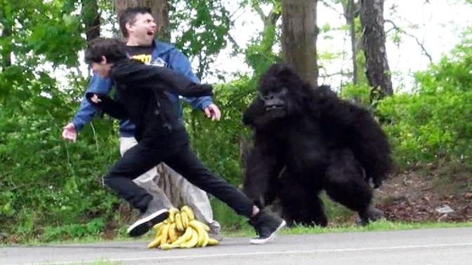 Classic Gorilla In Real Life Hidden Camera Prank