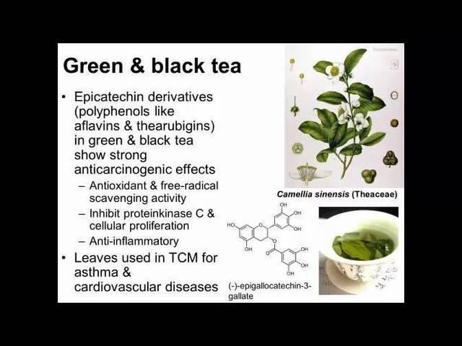 Remedial Plants for Cancer