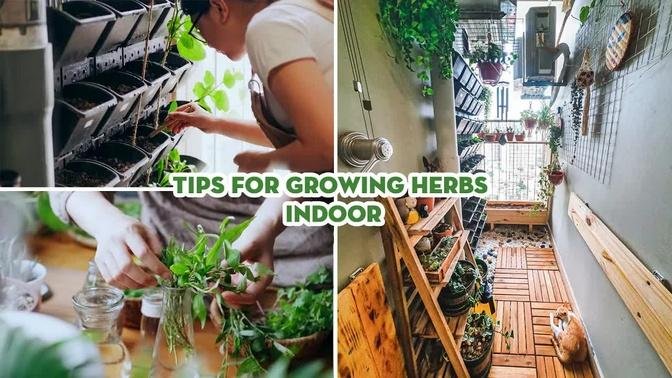 Sub) Tips for Growing a Tiny Herb Garden on the Balcony | Apartment Balcony Garden