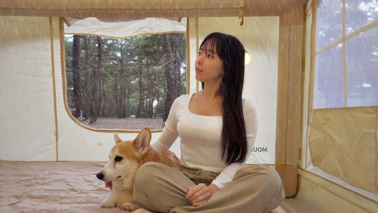🌧️ 가을비 내리는 숲속 에어텐트 안에서 솔로 캠핑ㅣ날씨 적중률 0%, 망한 우중 캠핑ㅣASMR