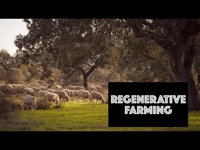 Regenerative Farming | Integrated Cropping & Livestock