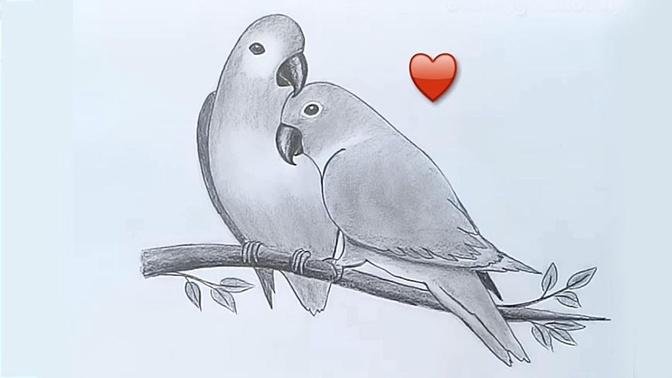 Two parrots in love by pencil sketch