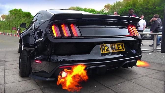 SCARY Ford Mustang V8 Sound Compilation 2020 