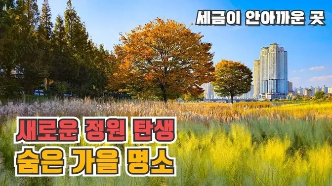 울산의 새로운 가을 명소의 탄생 태화강 그라스 정원  울산 당일치기 여행  가을꽃내음정원 풀꽃강정원 태화강전망대 태화강동굴피아