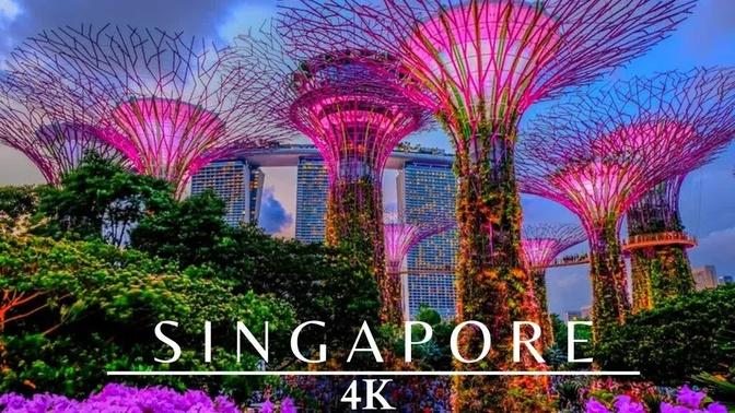 Singapore 4K Night 🇸🇬 Gardens By The Bay