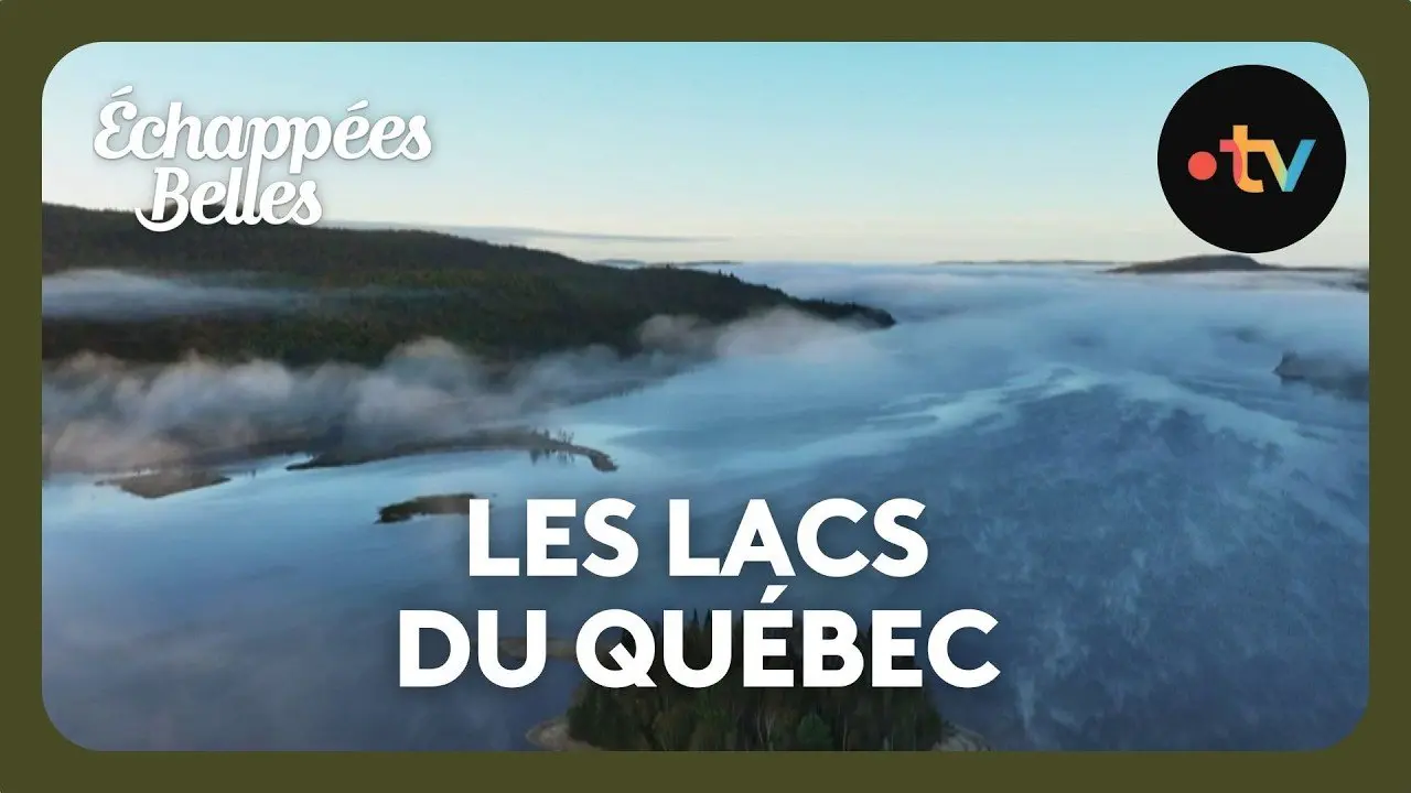 Le Québec : sur les traces de castor, l'emblème du Canada - Échappées belles 14 décembre 2024