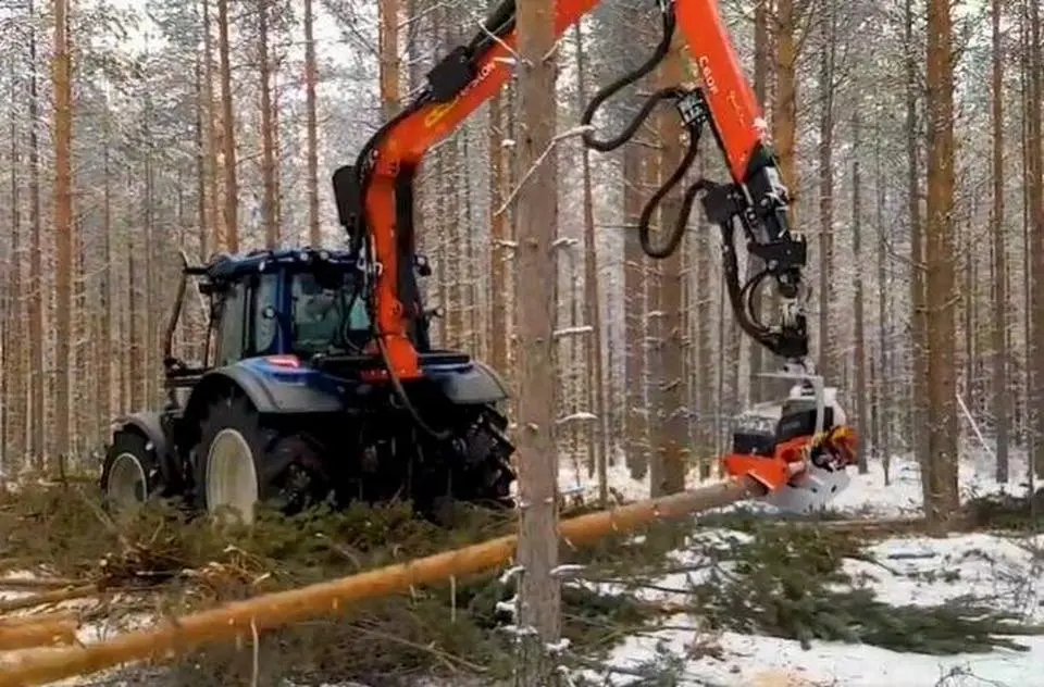 101 AMAZING Fastest Big Wood Chainsaw Machine Working At Another Level ▶5