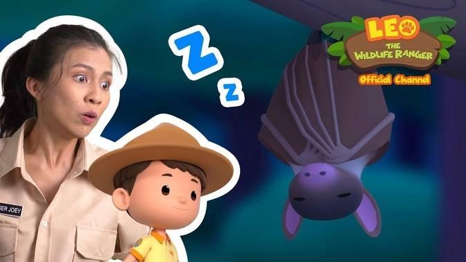 🦇Bat Appreciation Month🦇 _ Dawn Bat _ Leo the Wildlife Ranger _ #minisode
