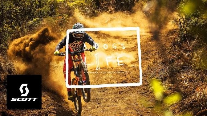 Warp Speed in South Africa - "A Dog's Life" S.1, Ep.3 w/ Brendan Fairclough and Amaury Pierron