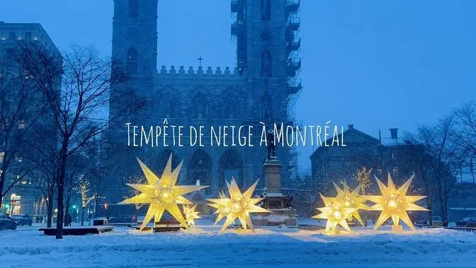 Tempête de neige du 9 janvier