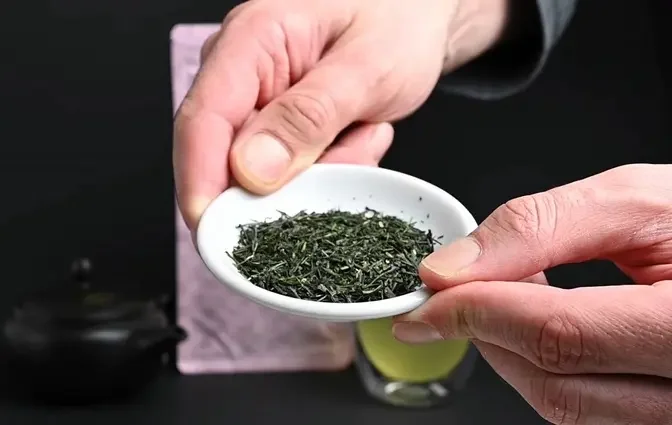 Health Benefits of Sencha Tea vs Gyokuro - Which Tea is Healthiest?