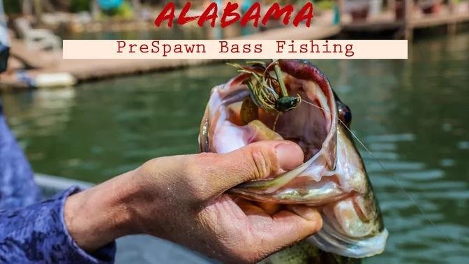 How to catch the PreSpawn Bass