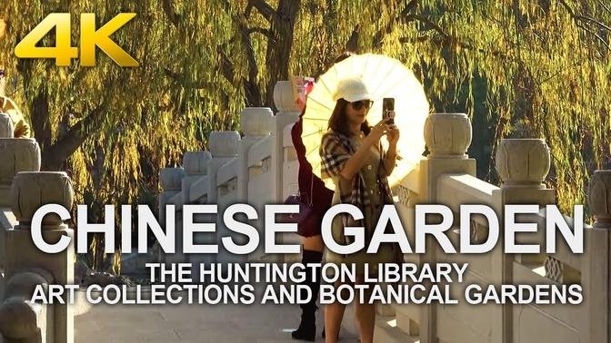 4K Walking Tour - Chinese Garden - The Huntington Library Art Collections and Botanical Gardens