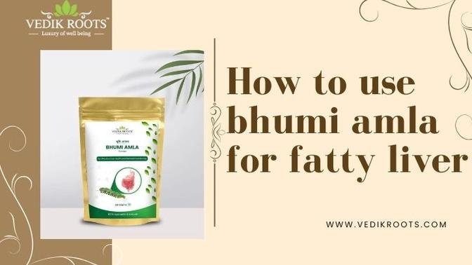 How to use bhumi amla for fatty liver