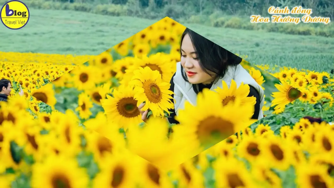Top 20 địa điểm du lịch đẹp nhất Nghệ An