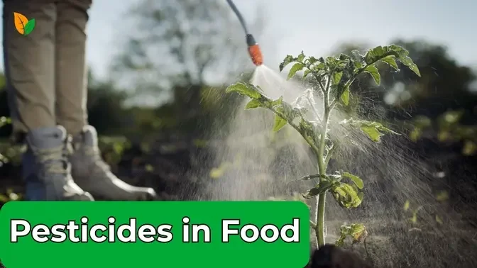 1 in 5 Foods in US Has High Pesticide Risk